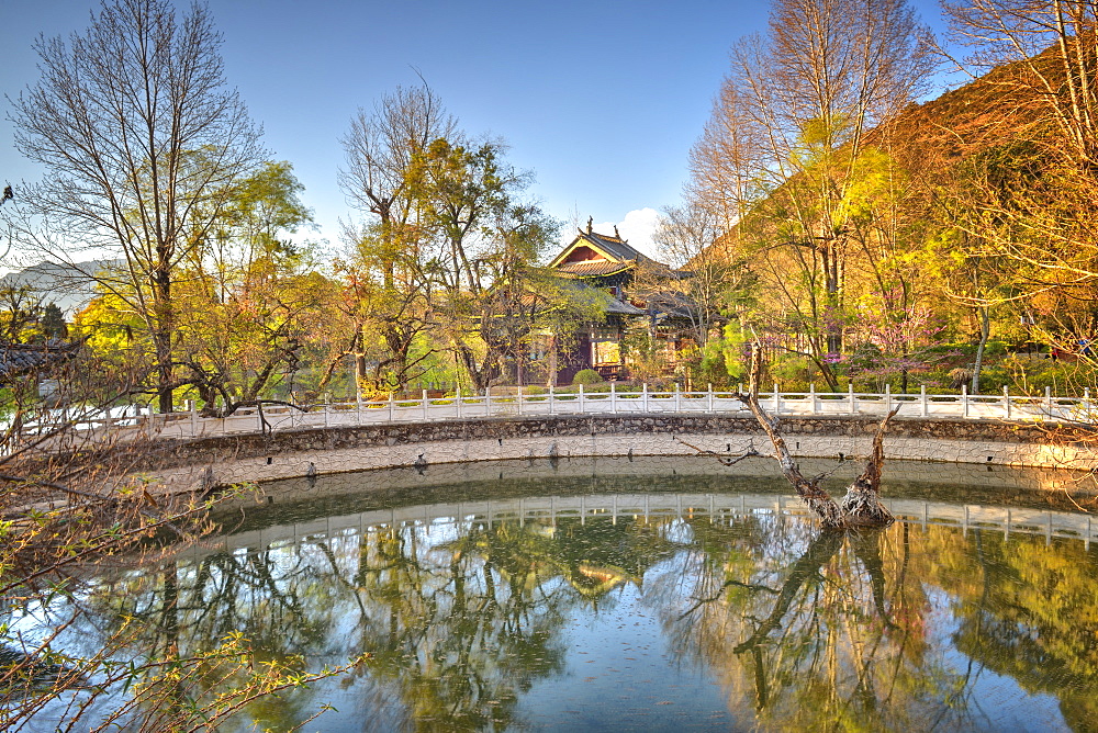 Golden reflections with pool, trees and pagoda at Jade Spring Park in Lijiang, Yunnan, China, Asia 