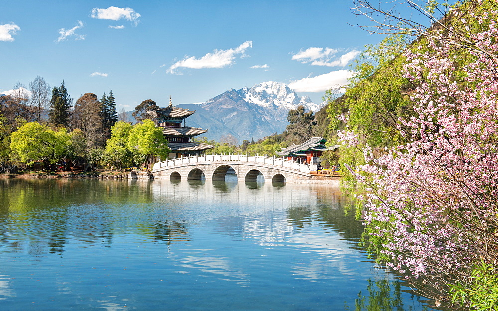 Moon Embracing Pavilion and Suocui Bridge at Black Dragon Pool in Jade Spring Park, Lijiang, Yunnan, China, Asia 