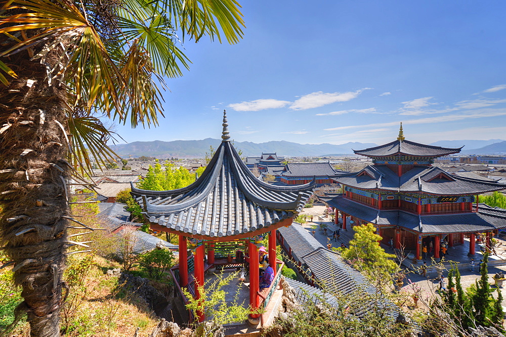 Pavilions and palm leaves at Mufu Wood Mansion, Lijiang, Yunnan, China, Asia 