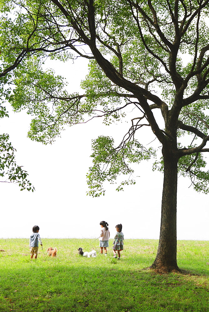 Children with Poodle Dogs