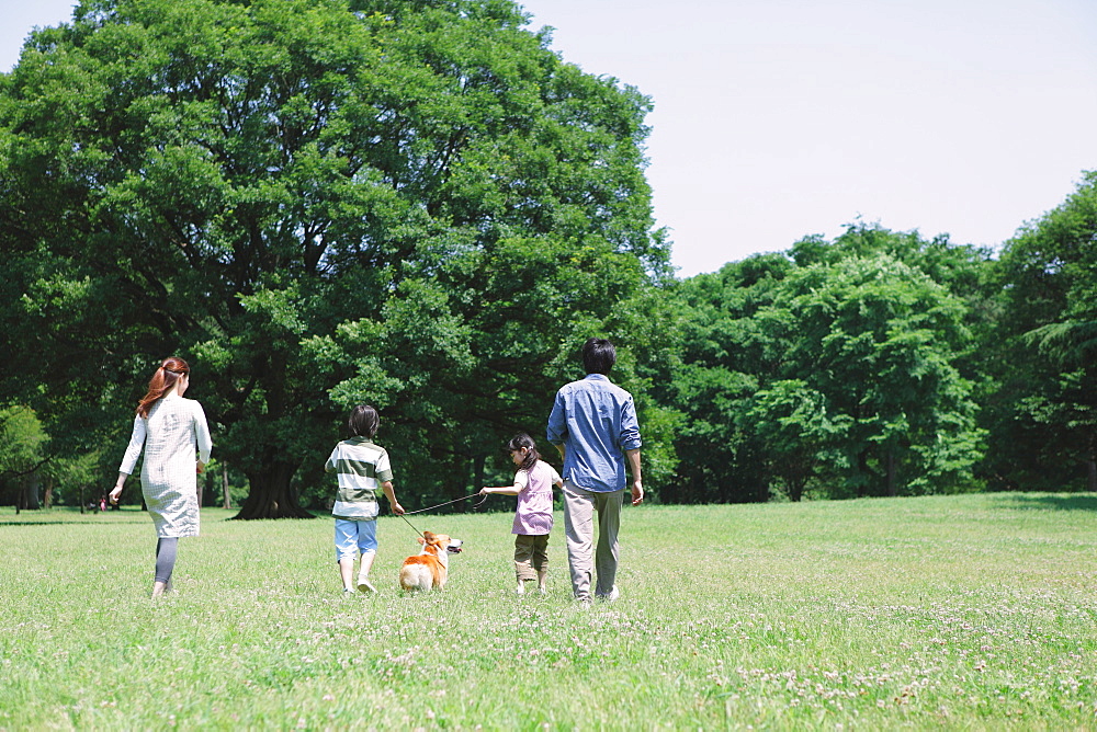 Family In a Park