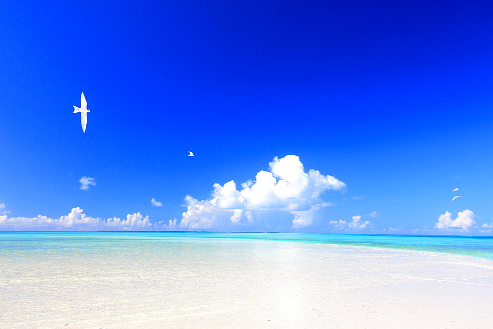 Kondoi beach, Okinawa