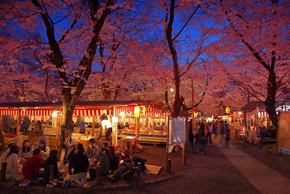 Hanami In Kyoto, Japan