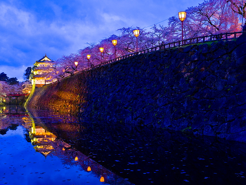 Castle And Cherry Blossoms, Hirosaki, Aomori Prefecture