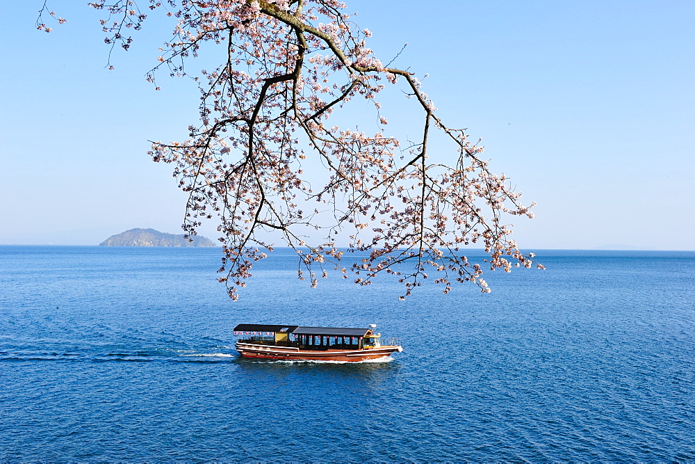 Kaizu Osaki, Takashima, Shiga Prefecture