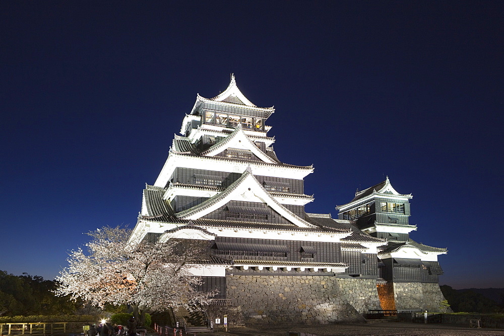 Night View Of Cherry Blossoms , Kumamoto Castle, Kyushu, Japan