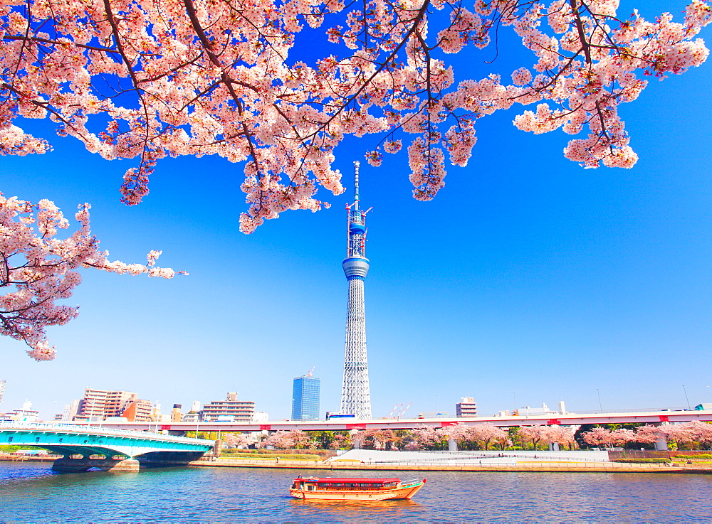 Tokyo Sky Tree, Tokyo, Japan