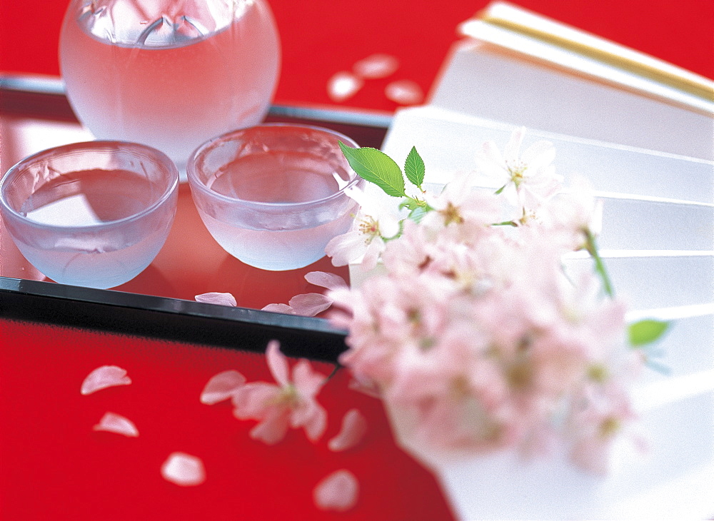 Fan And Cold Sake And Cherry Blossom