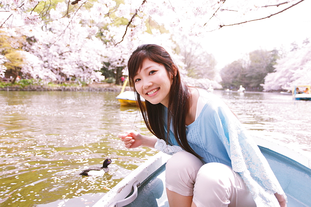 Japanese woman on a rowing boat with cherry blossoms in the background