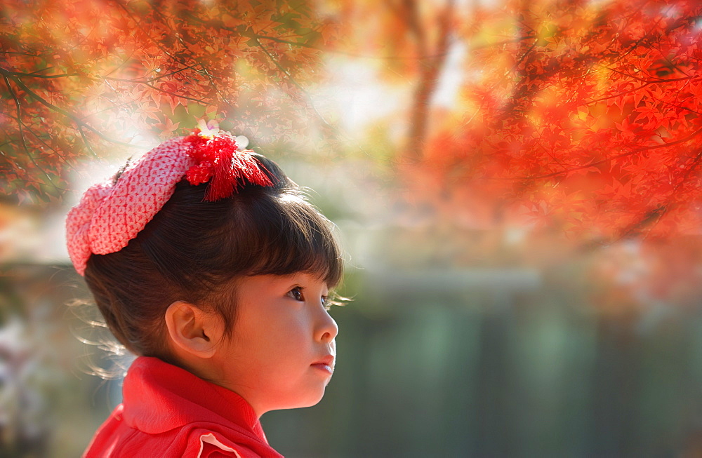 Japanese Girl Dressed for SchichiGoSan Ceremony