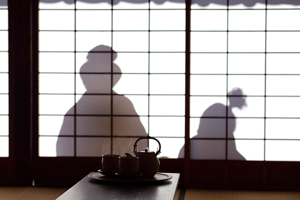 Shadow on Japanese Shoji Door