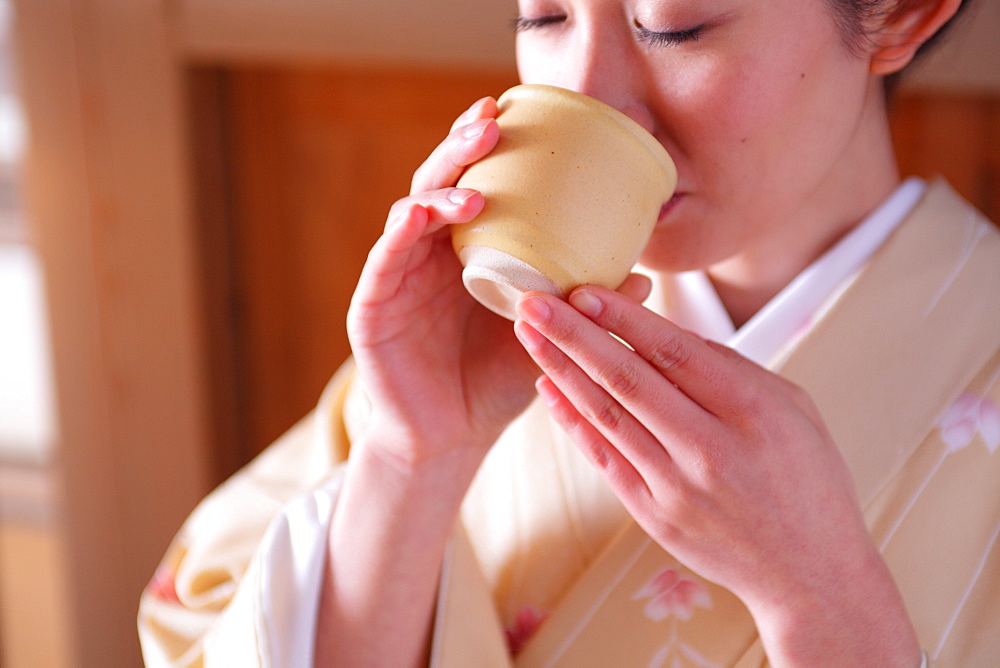 Japanese Lady in Traditional Kimono