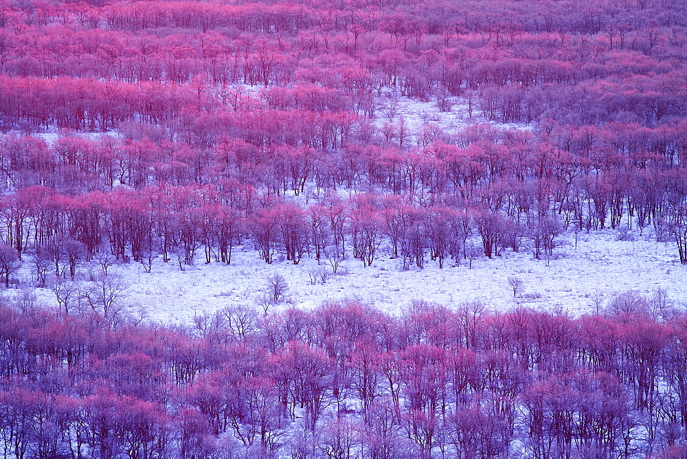 Hokkaido, Japan