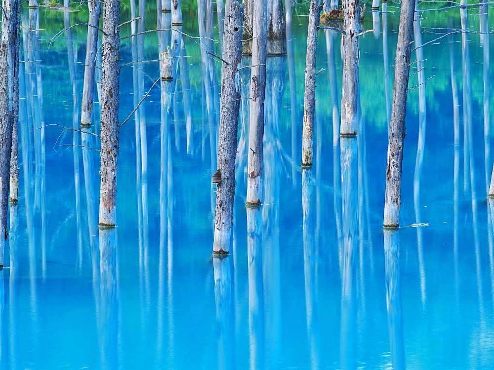 Hokkaido, Japan
