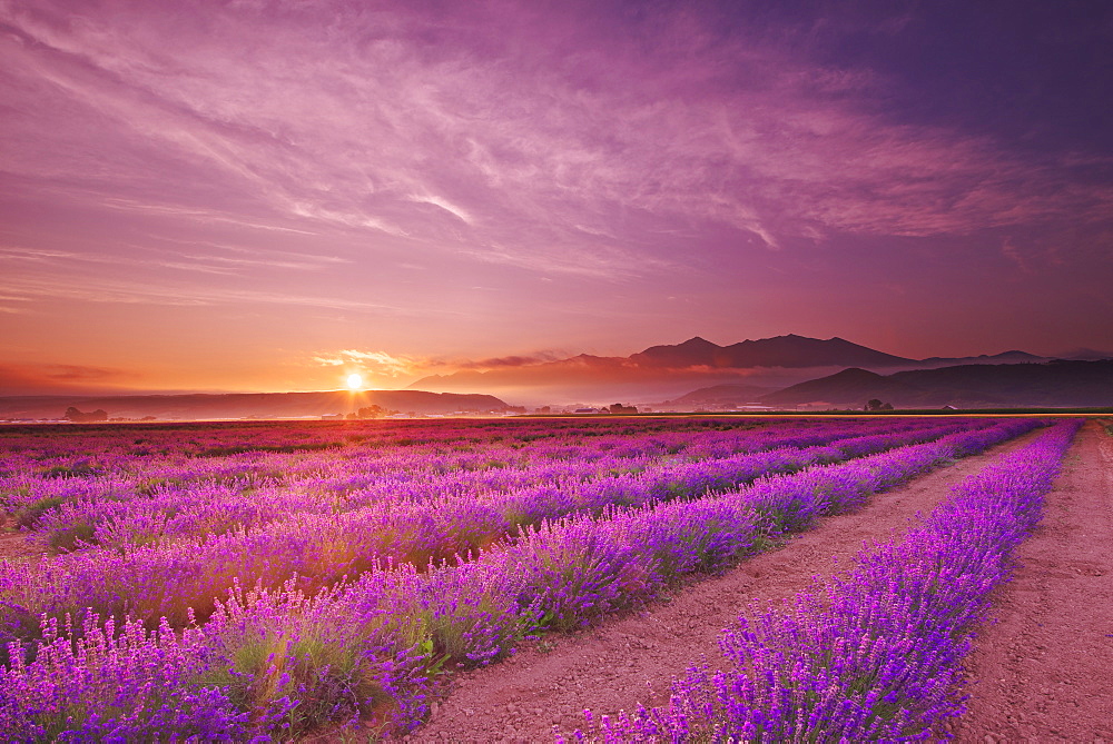 Hokkaido, Japan