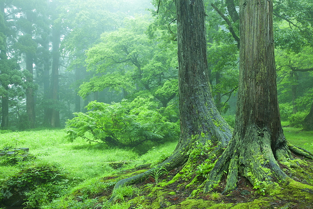 Yamagata Prefecture, Japan