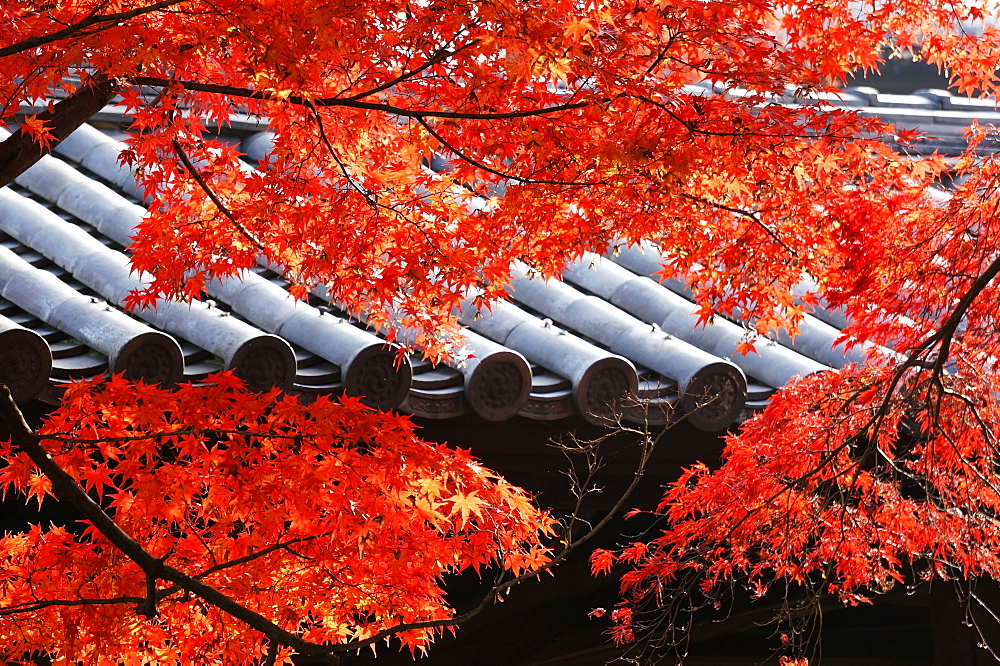 Kyoto, Japan