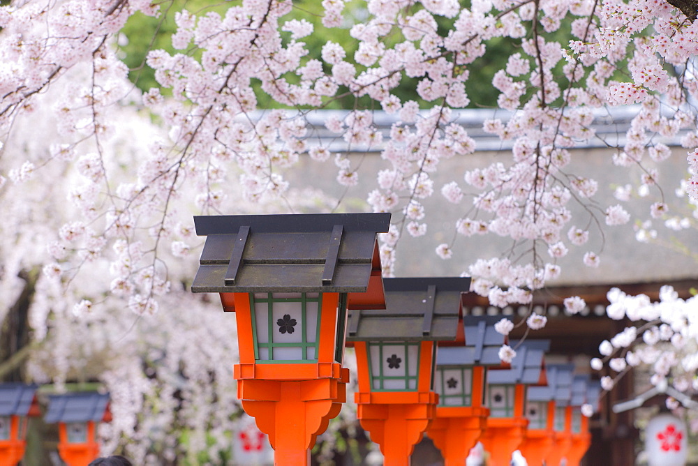 Kyoto, Japan