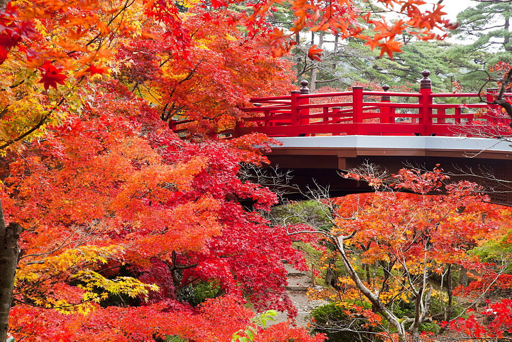 Autumn leaves and bridge