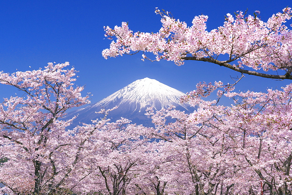 View of Mount Fuji, Japan