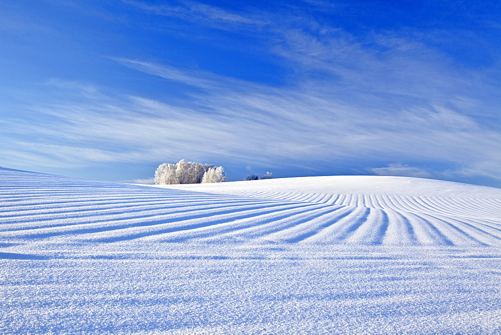 Hokkaido, Japan