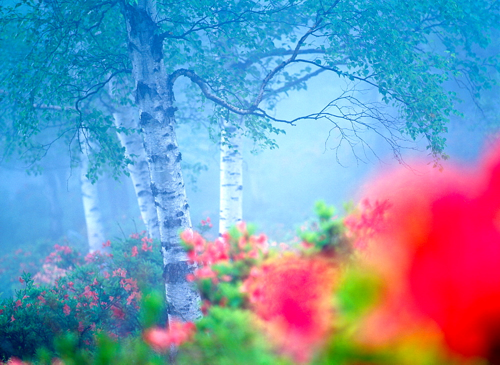 Nagano Prefecture, Japan