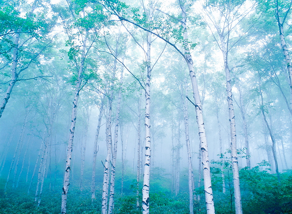 Nagano Prefecture, Japan