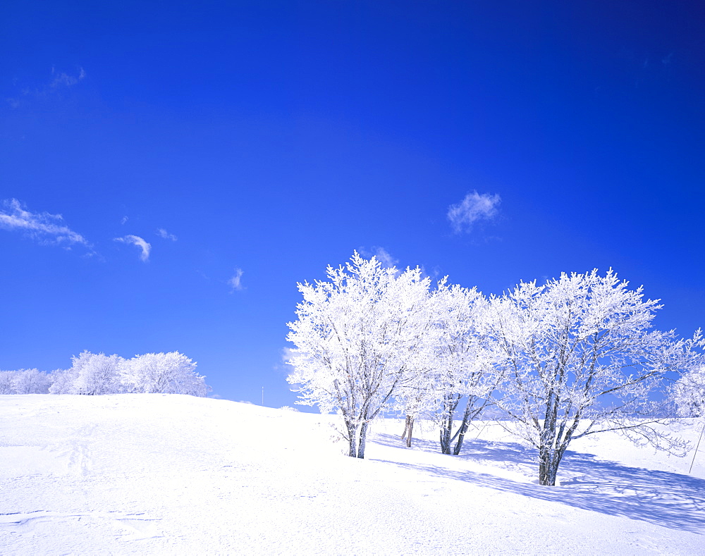 Nagano Prefecture, Japan