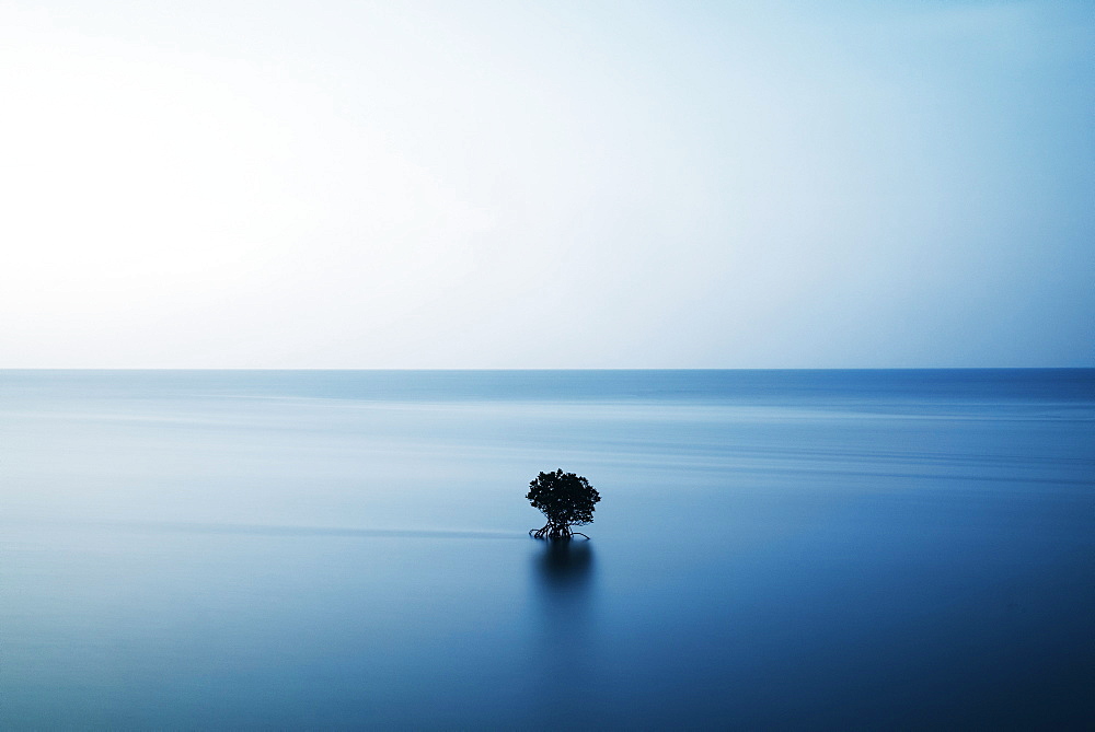 Iriomote, Okinawa, Japan