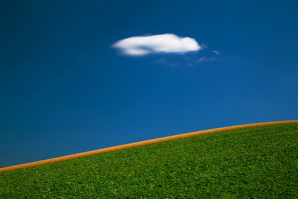 Biei, Hokkaido, Japan
