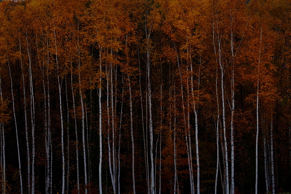 Hokkaido, Japan