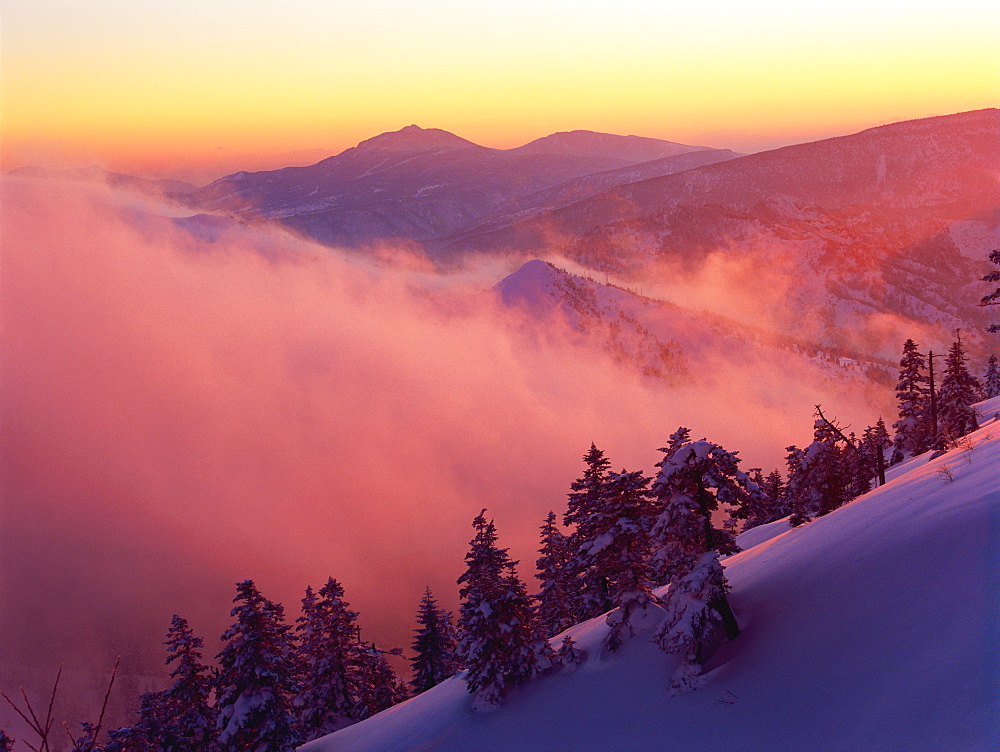 Shibu Gap, Nagano, Japan