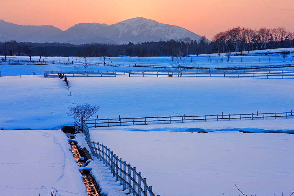 Hiruzen Highland, Okayama, Japan