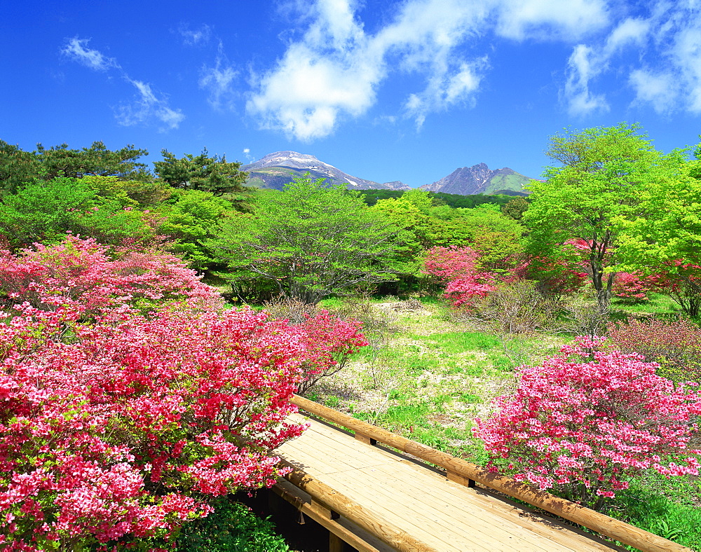 Mt. Nasu, Tochigi, Japan