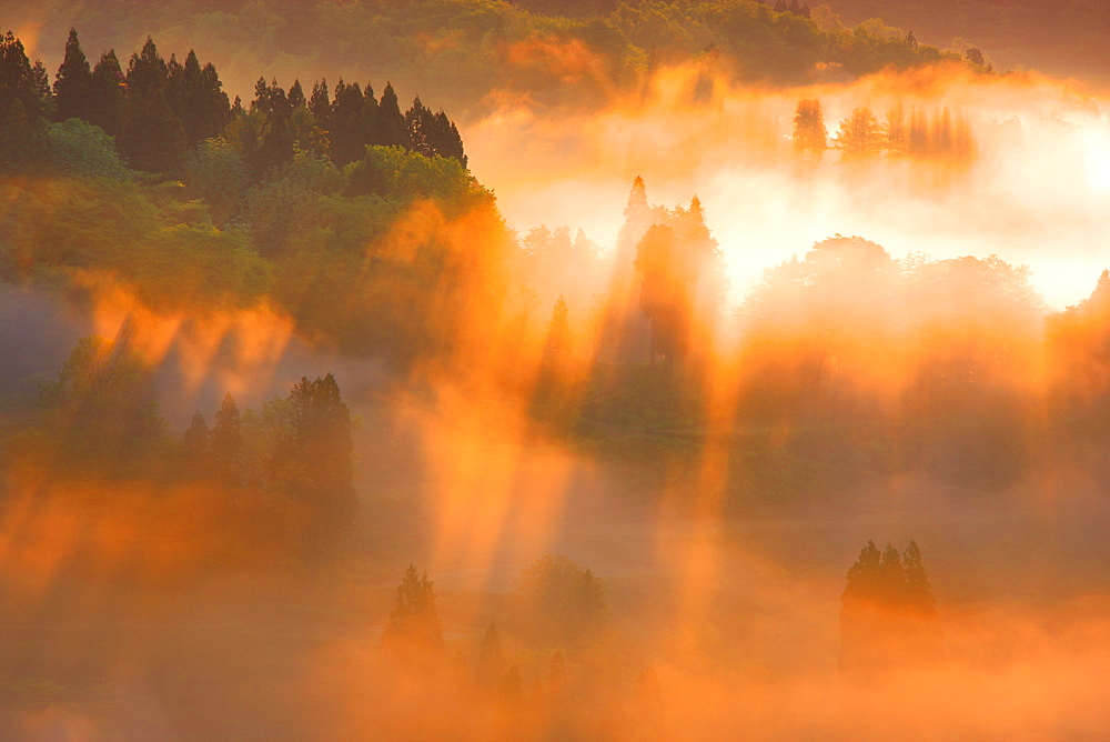 Tokamachi, Niigata, Japan