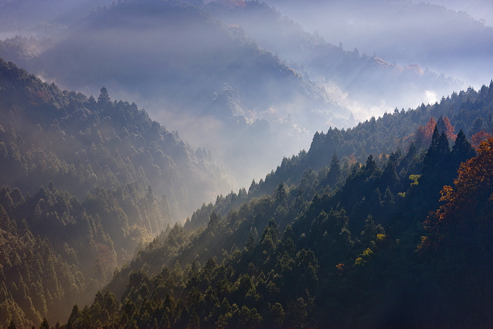 Mt. Yoshino, Nara, Japan