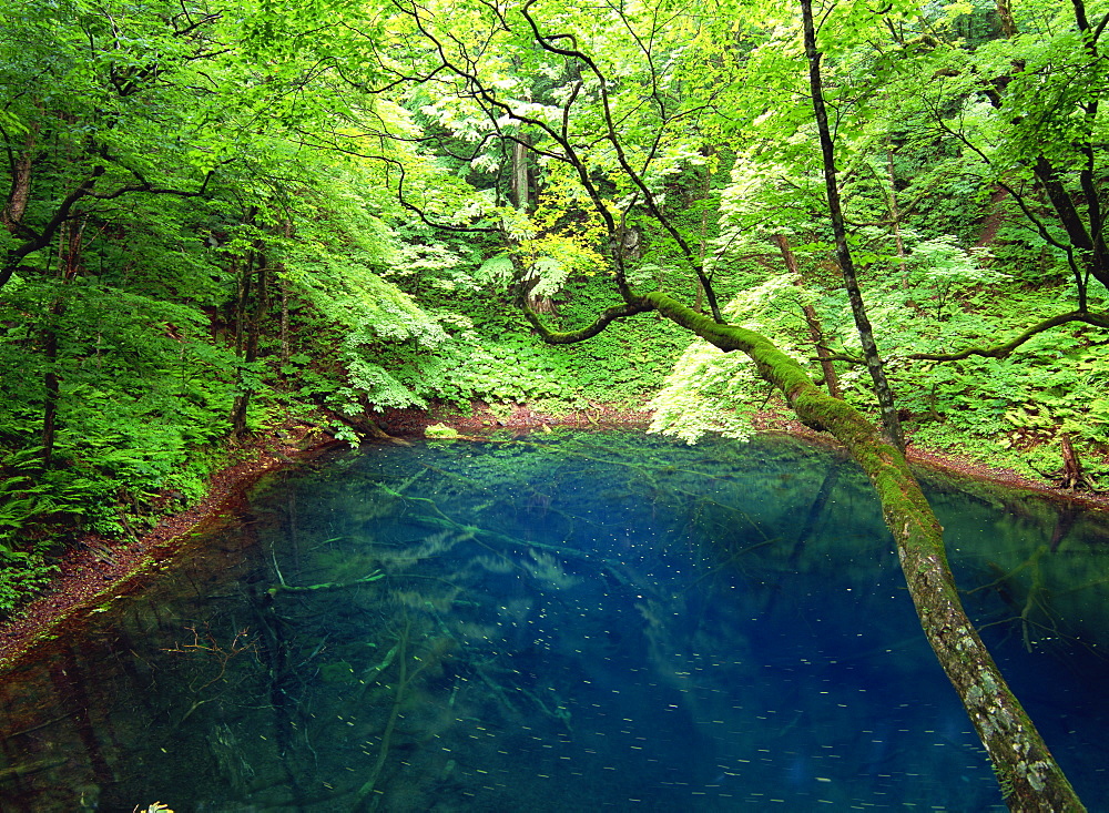 Aoi Pond, Aomori, Japan