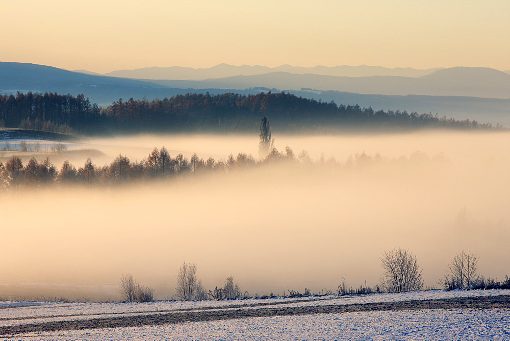 Kamifurano, Hokkaido, Japan