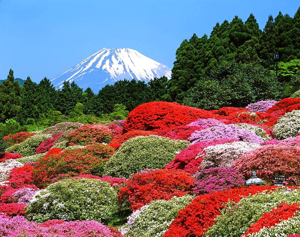 Mt.Fuji, Japan