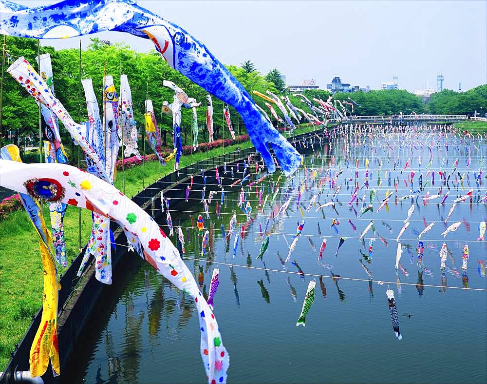 Koinoborinosatomatsuri, Gunma, Japan