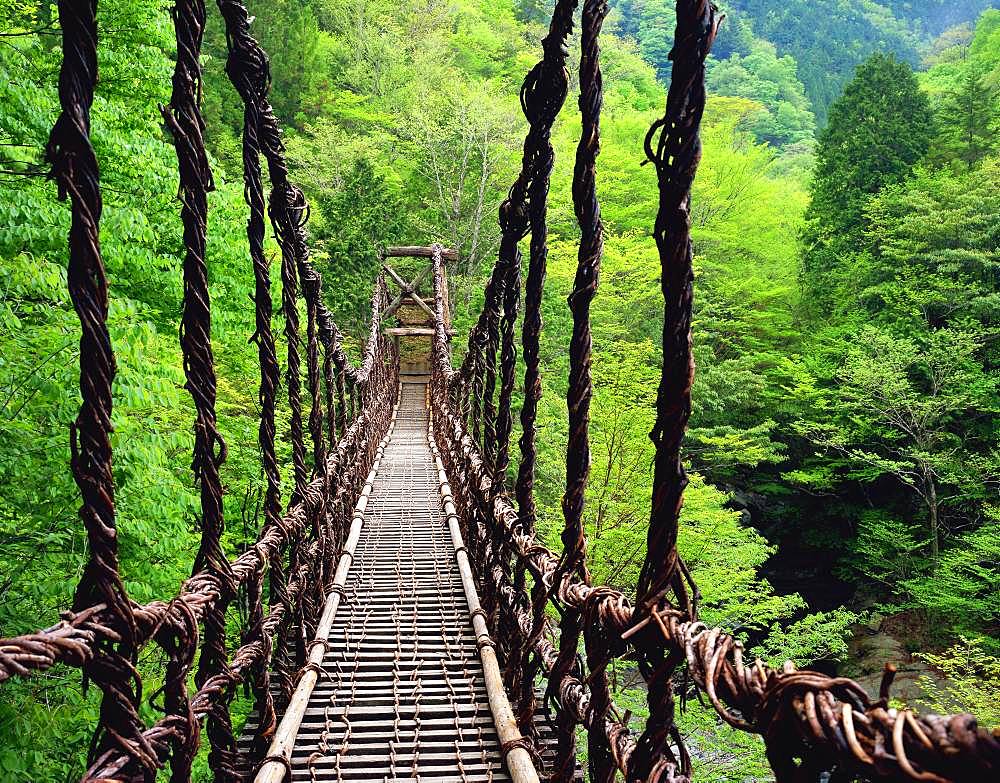 Okuiya Kazura Bridge, Tokushima, Japan