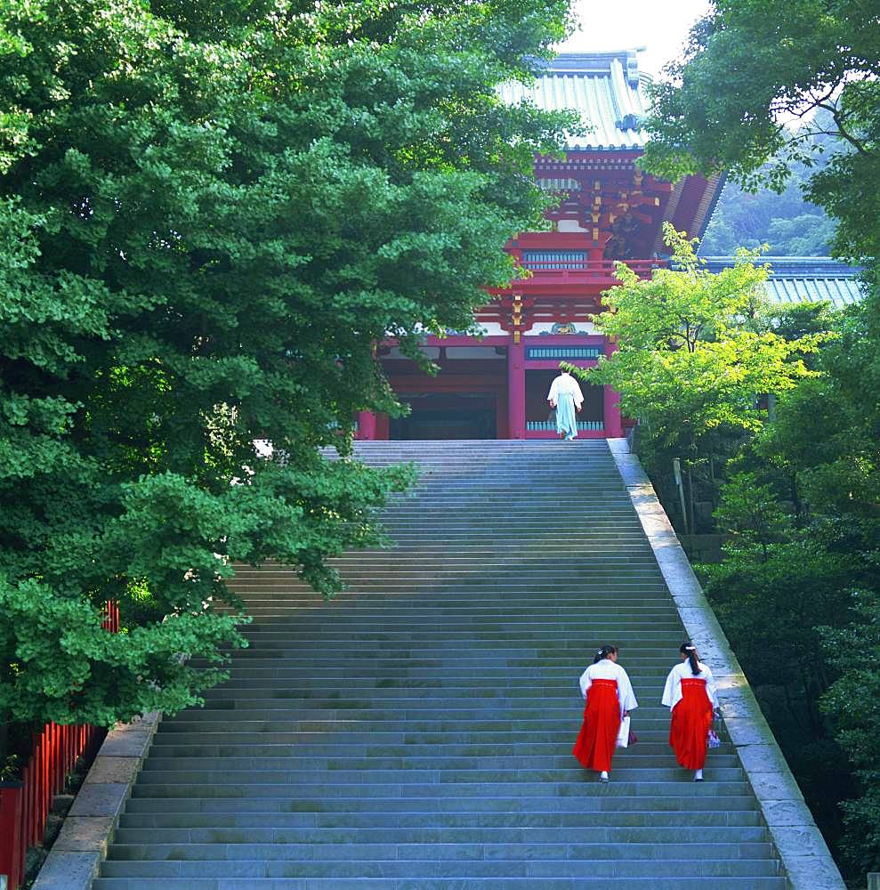 Tsurugaoka Hachimangu, Kanagawa, Japan