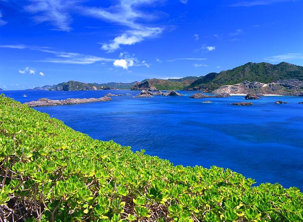 Ogasawara Islands, Father Island, Tokyo, Japan