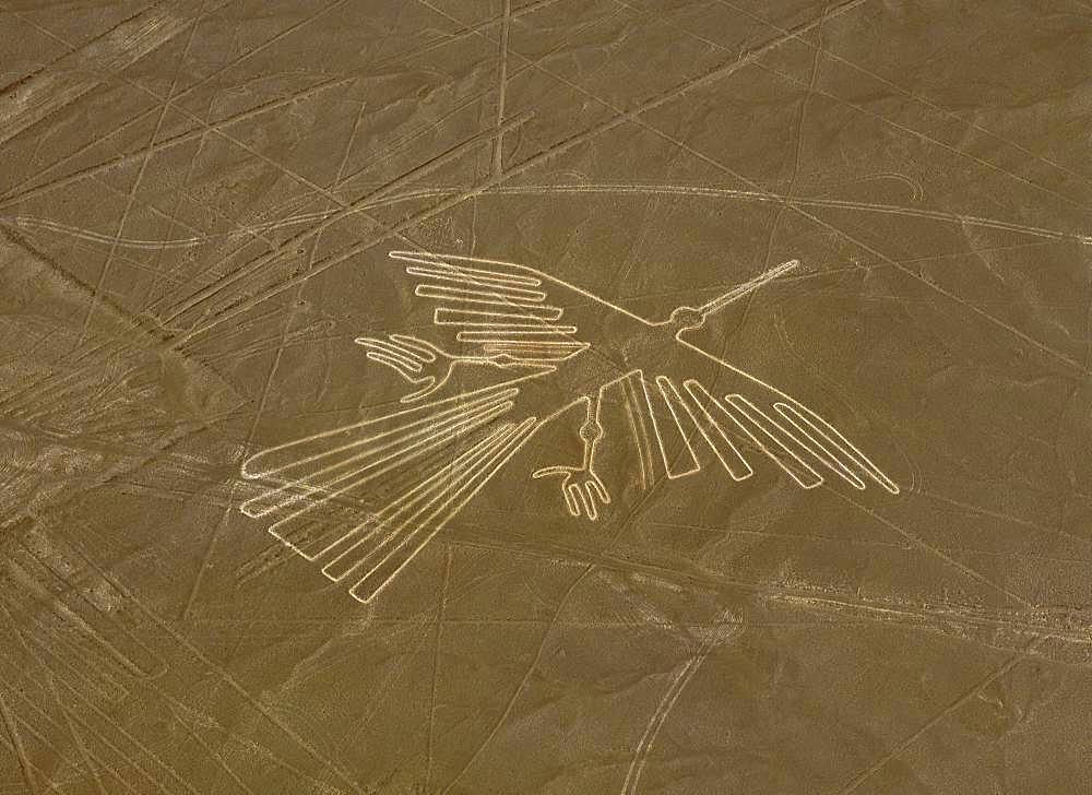 Nazca Lines (Condor)