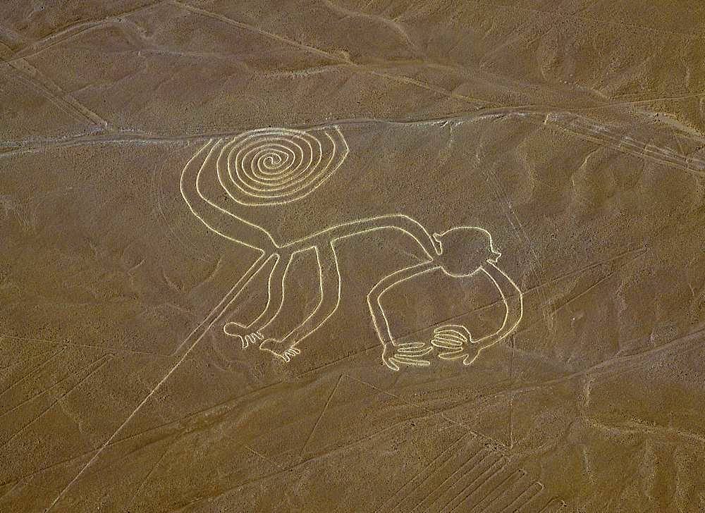 Nazca Lines (Monkey)