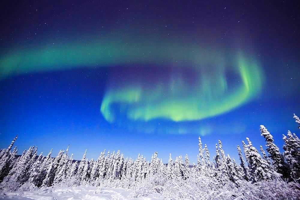 Aurora Borealis, Alaska