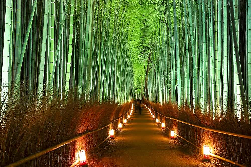 Kyoto, Japan