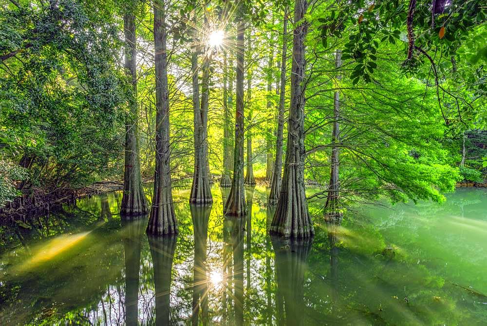 Fukuoka Prefecture, Japan