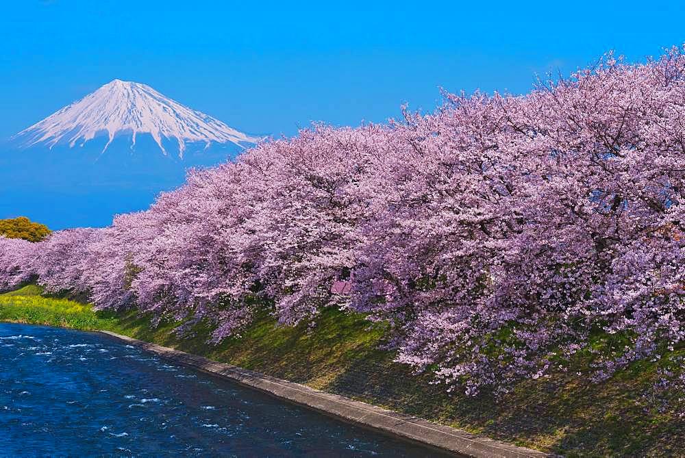 Mount Fuji from Shizuoka Prefecture, Japan