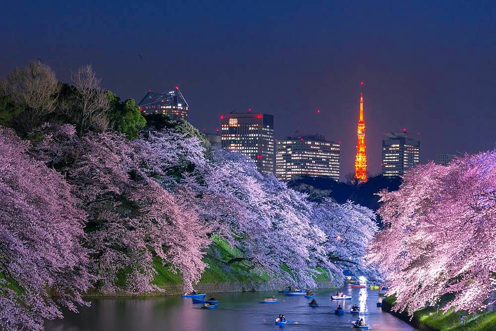 Tokyo, Japan